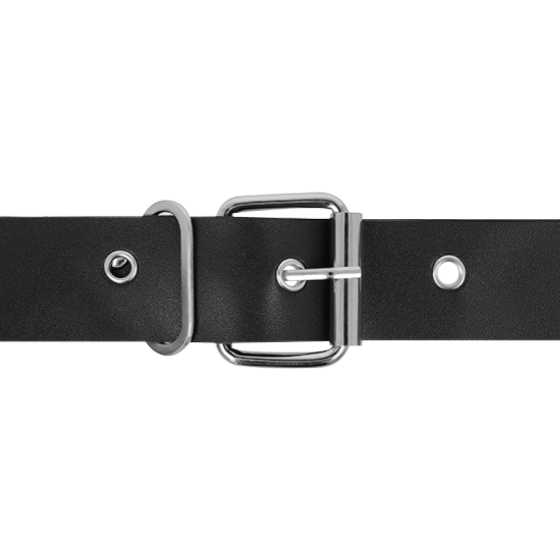 HARNESS ATTRACTION - RNES TAYLOR DELUXE 18 X 4.5CM HARNESS ATTRACTION - 4