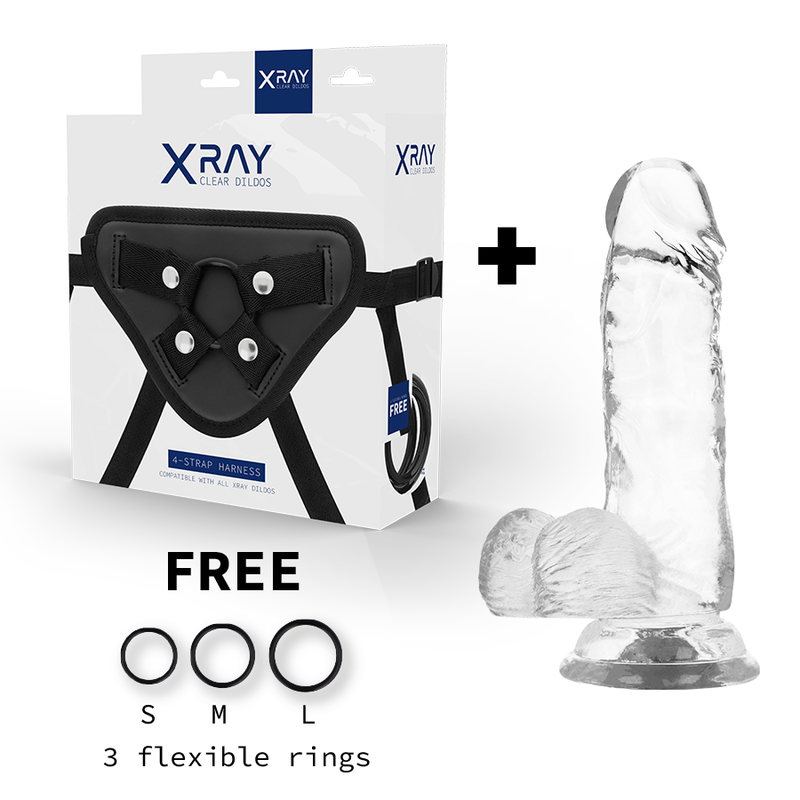 X RAY - HARNESS + CLEAR COCK WITH BALLS 15.5 CM X 3.5 CM X RAY - 2