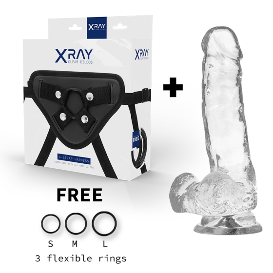 X RAY - HARNESS + CLEAR COCK WITH BALLS 18.5 CM X 3.8 CM X RAY - 2