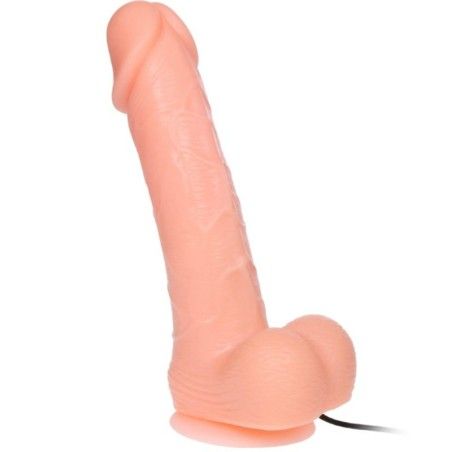 BAILE - REALISTIC DILDO DONG VIBRATION AND ROTATION 20 CM