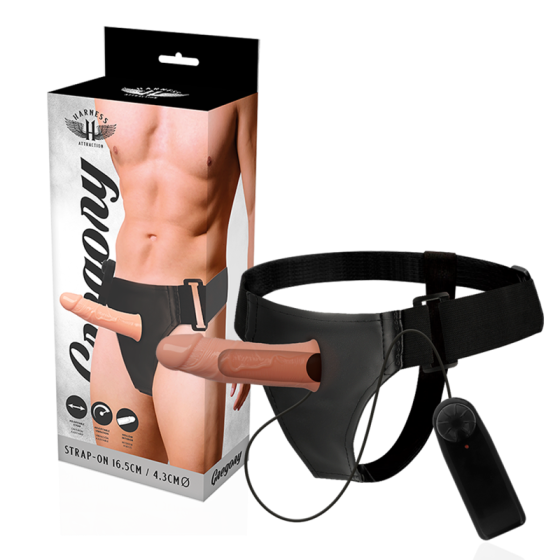 HARNESS ATTRACTION - GREGORY HOLLOW RNES WITH VIBRATOR 16.5 X 4.3CM HARNESS ATTRACTION - 1