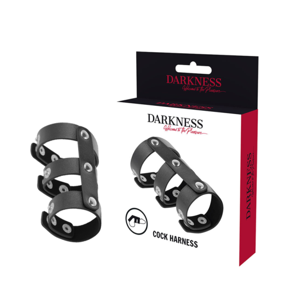 DARKNESS - ADJUSTABLE LEATHER DOUBLE PENIS AND TESTICLE RING DARKNESS BONDAGE - 1