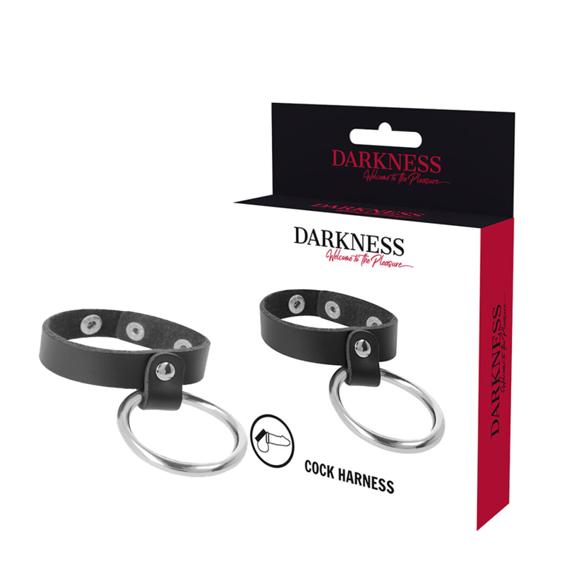 DARKNESS - METAL RING FOR THE PENIS AND TESTICLES DARKNESS BONDAGE - 2