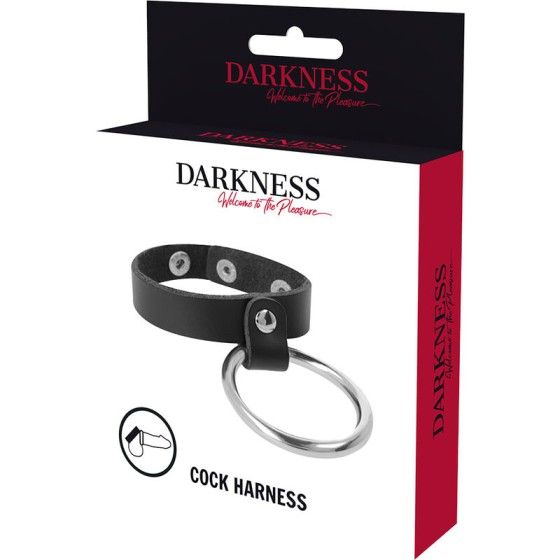 DARKNESS - METAL RING FOR THE PENIS AND TESTICLES DARKNESS BONDAGE - 5