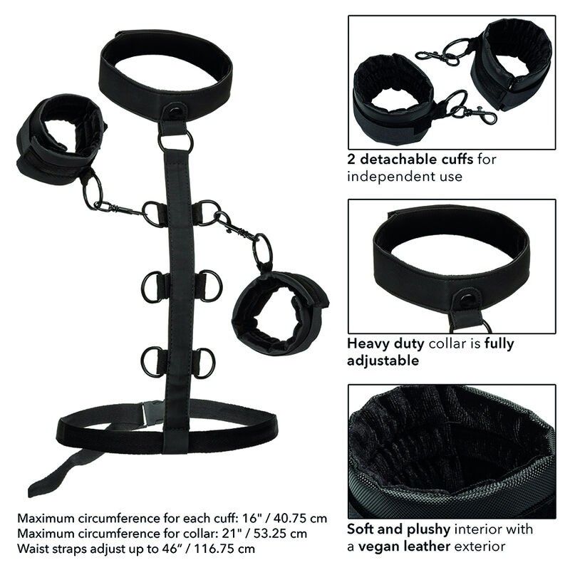 CALIFORNIA EXOTICS - BOUNDLESS COLLAR BODY RESTRAINT CALIFORNIA EXOTICS - 6