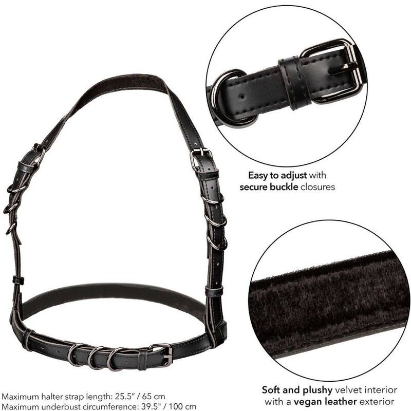 CALIFORNIA EXOTICS - EUPHORIA HALTER BUCKLE HARNESS BLACK CALIFORNIA EXOTICS - 5