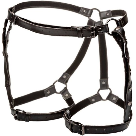 CALIFORNIA EXOTICS - EUPHORIA RIDING THIGH HARNESS CALIFORNIA EXOTICS - 4