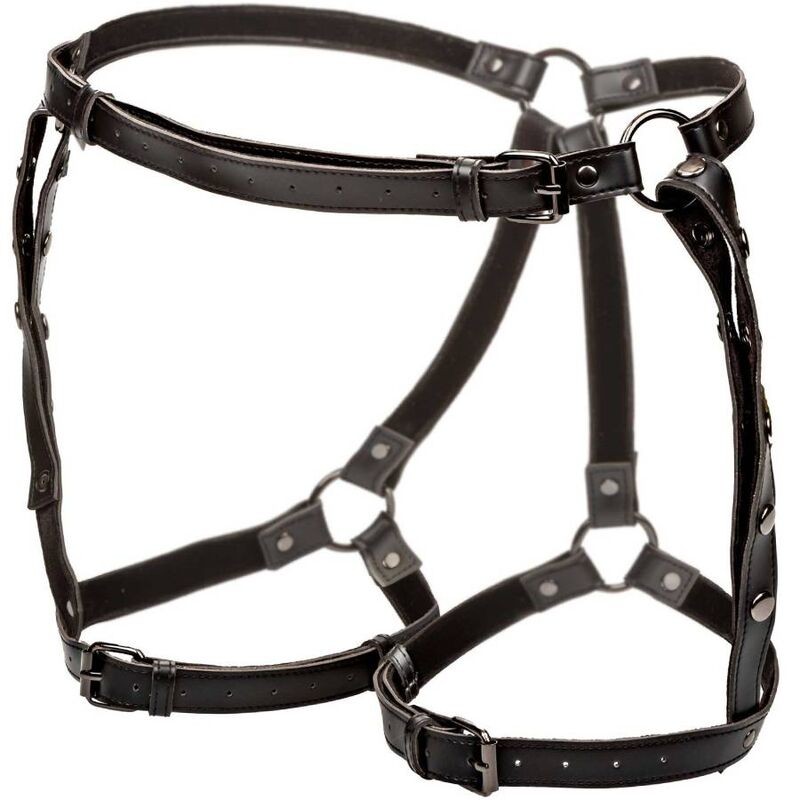 CALIFORNIA EXOTICS - EUPHORIA PLUS SIZE RIDING THIGH HARNESS CALIFORNIA EXOTICS - 4