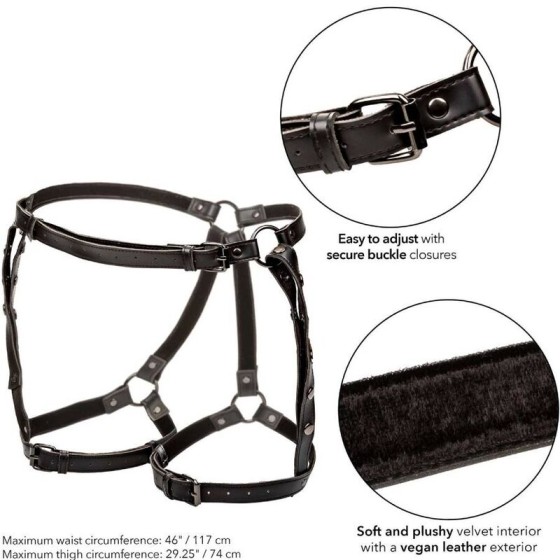 CALIFORNIA EXOTICS - EUPHORIA PLUS SIZE RIDING THIGH HARNESS CALIFORNIA EXOTICS - 5