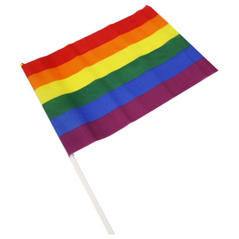 PRIDE - LGBT FLAG MEDIUM PENNANT PRIDE - 1