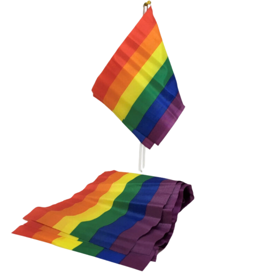 PRIDE - LGBT FLAG SMALL FLAG BANNER PRIDE - 1