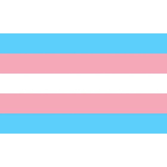 PRIDE - TRANSEXUAL FLAG 90 X 150 PRIDE - 1