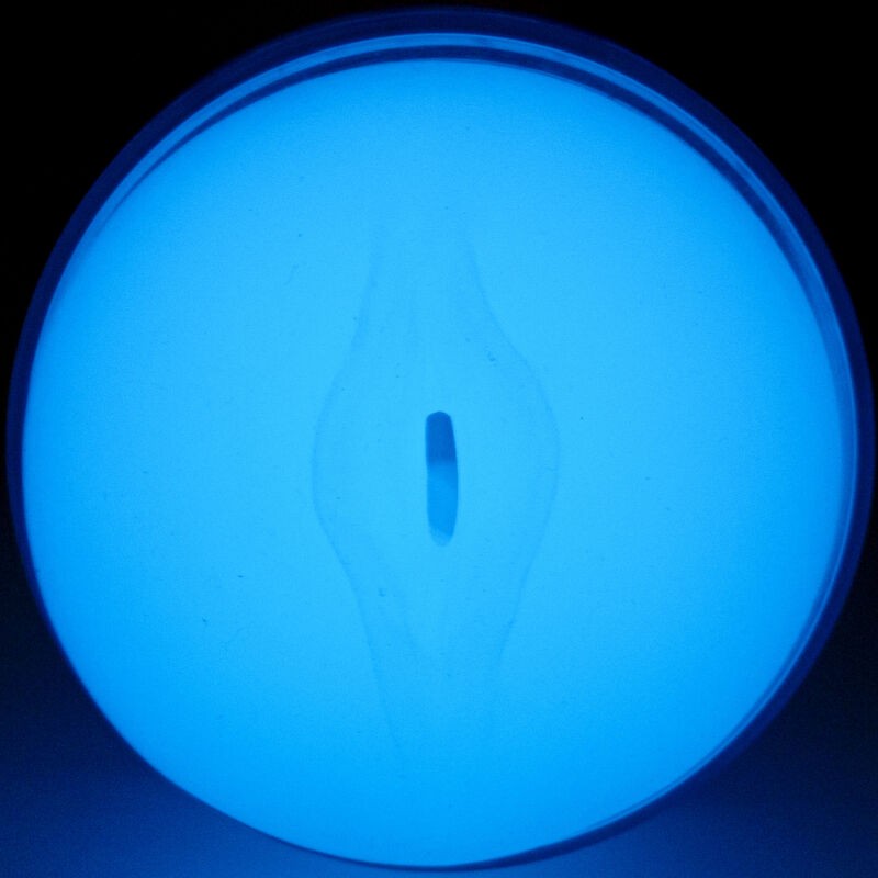 KIIROO - FEEL GLOW IN THE DARK STROKER KIIROO - 4