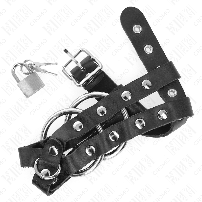 KINK - ADJUSTABLE PENIS CAGE WITH LOCK KINK RING POWER - 3