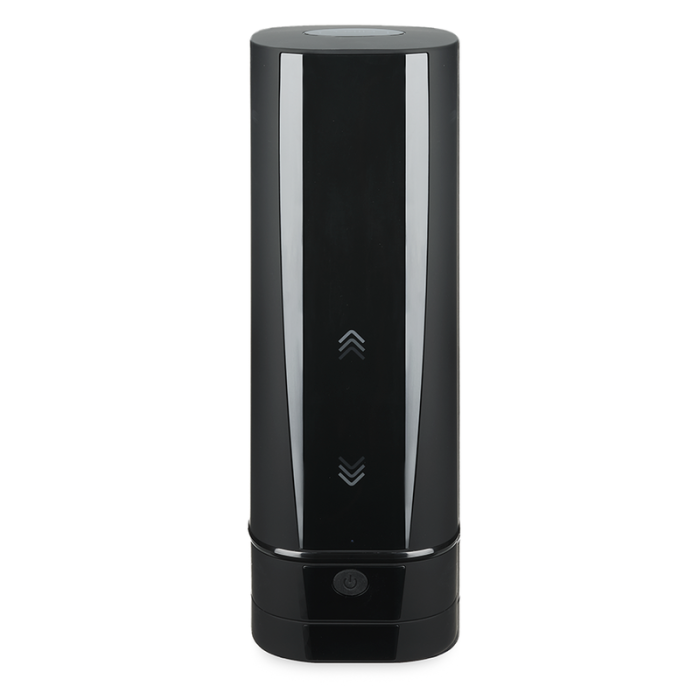 KIIROO ONYX + TELEDILDONIC MASTURBATOR WITH SKIN TEXTURE KIIROO - 2